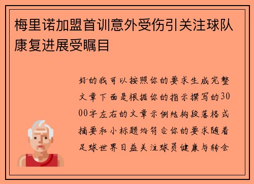 梅里诺加盟首训意外受伤引关注球队康复进展受瞩目